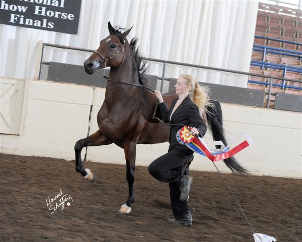 Double Daare~ Reserve National Champion 